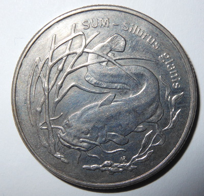 Some-Nice-Polish-Silver-Coins-And-Commemorative